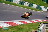 cadwell-no-limits-trackday;cadwell-park;cadwell-park-photographs;cadwell-trackday-photographs;enduro-digital-images;event-digital-images;eventdigitalimages;no-limits-trackdays;peter-wileman-photography;racing-digital-images;trackday-digital-images;trackday-photos